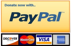 Paypal-Donate-Button